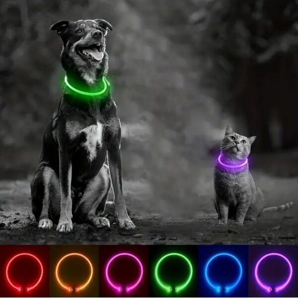 Glowing LED Neon Pet Light Up Collar Adjustable Size- Luminous At Night Anti-loss USB Rechargeable Dog or Cat Collar Fits Small Medium Large and Extra Large Pets